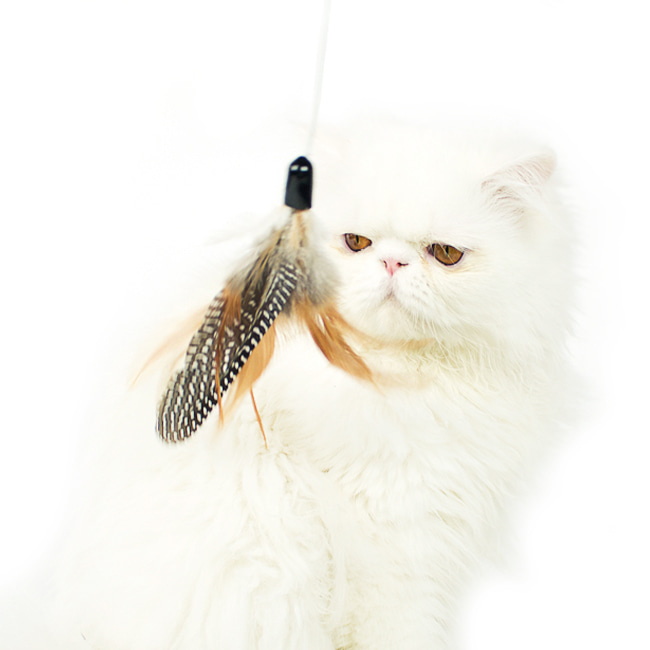 FEATHER HUNTING TOY NATURAL