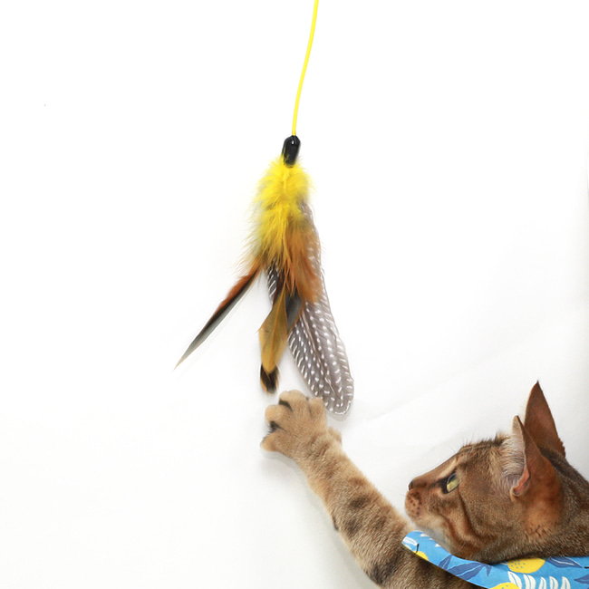 FEATHER HUNTING TOY  [NATURAL YELLOW]